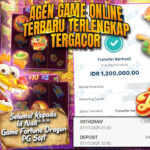 menang besar di fortune dragon pg soft